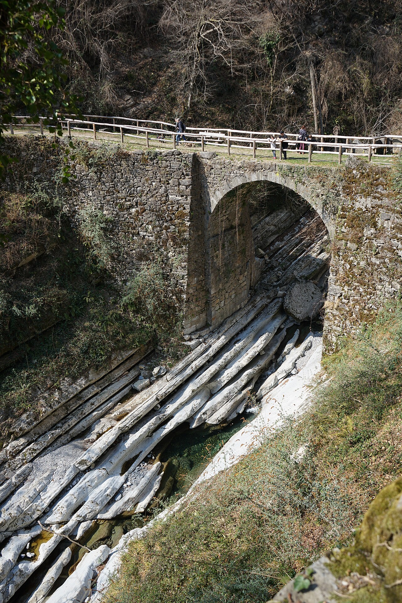 community – Parco delle Gole della Breggia Moltrasio – Kalk Punt da Canaa